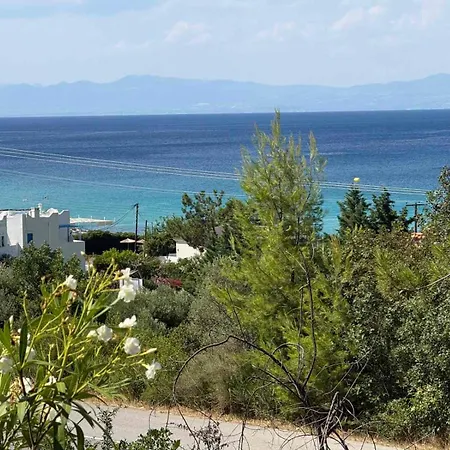 Holiday home Natasa Private House